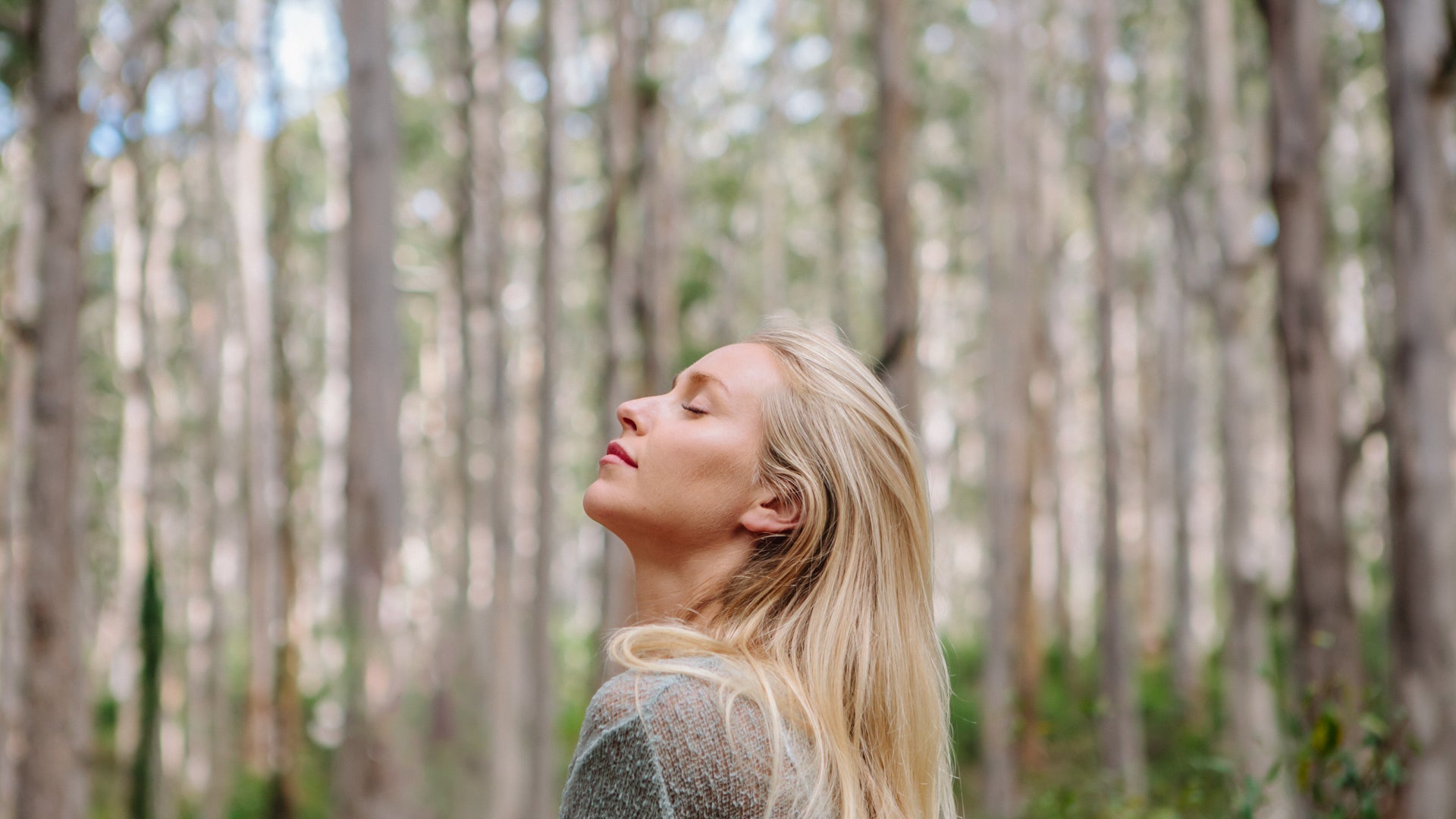 Discovering Nature's Beauty with iKOU