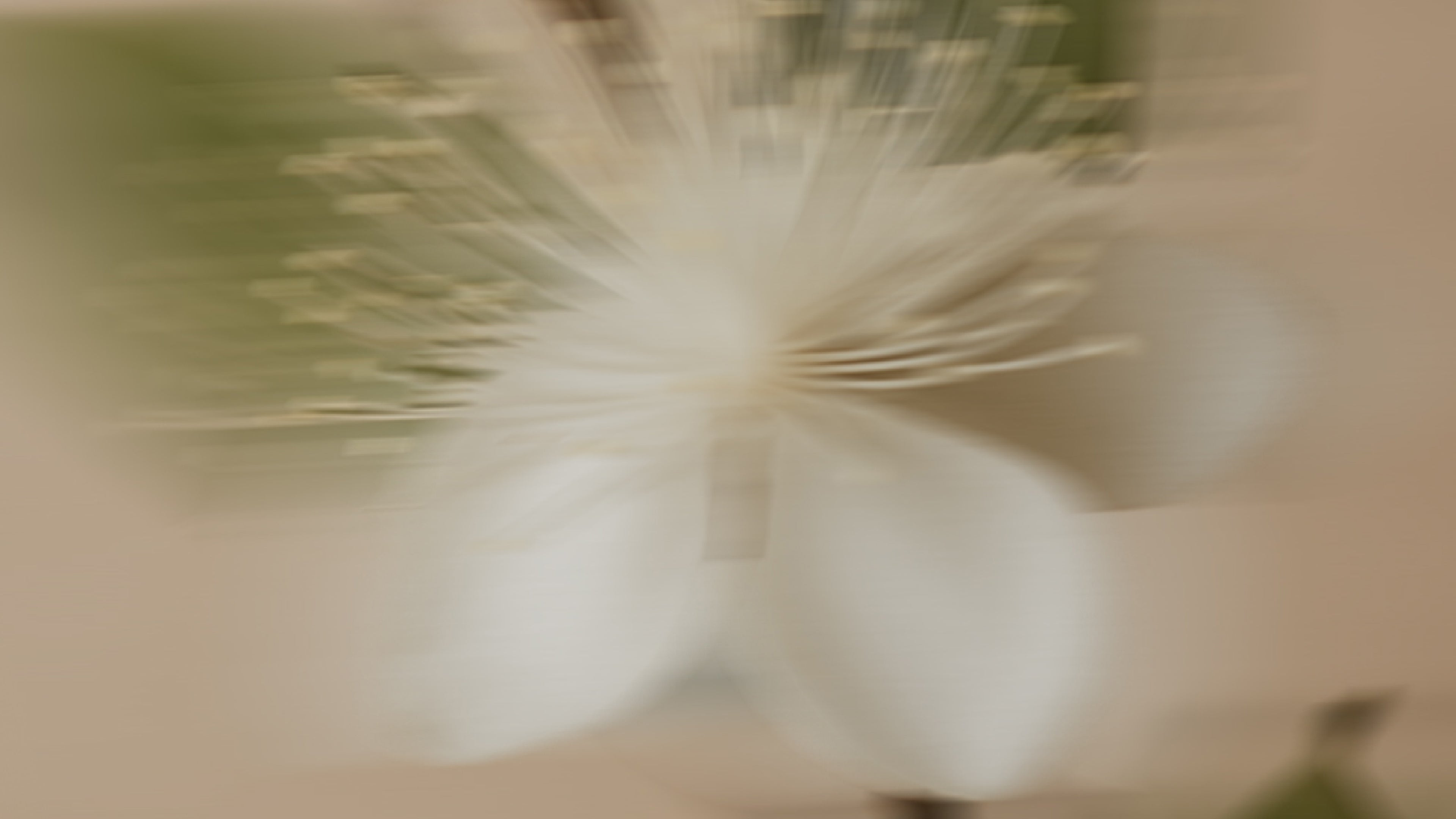 Discovering Nature's Beauty with IKOU