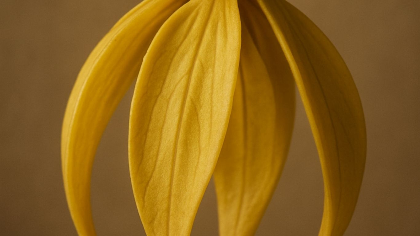 Healing Heart - Comforting - iKOU