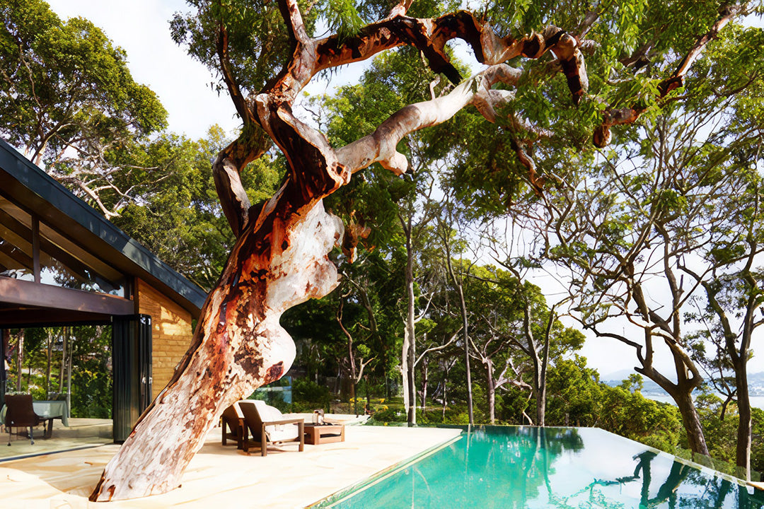 10 Pretty_Beach_House_iKOU-topaz-upscale-4x.jpg